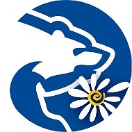 Аватар канала